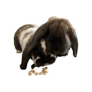 "Bun"dles